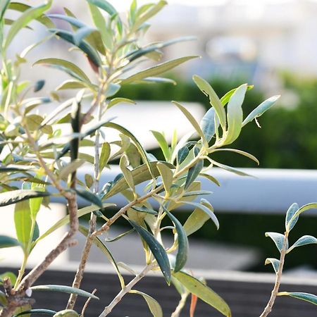 הוילה Paradeísion Casa Terrazzo מראה חיצוני תמונה