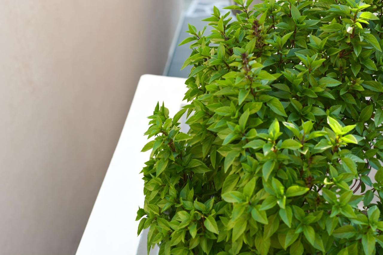 הוילה Paradeísion Casa Terrazzo מראה חיצוני תמונה