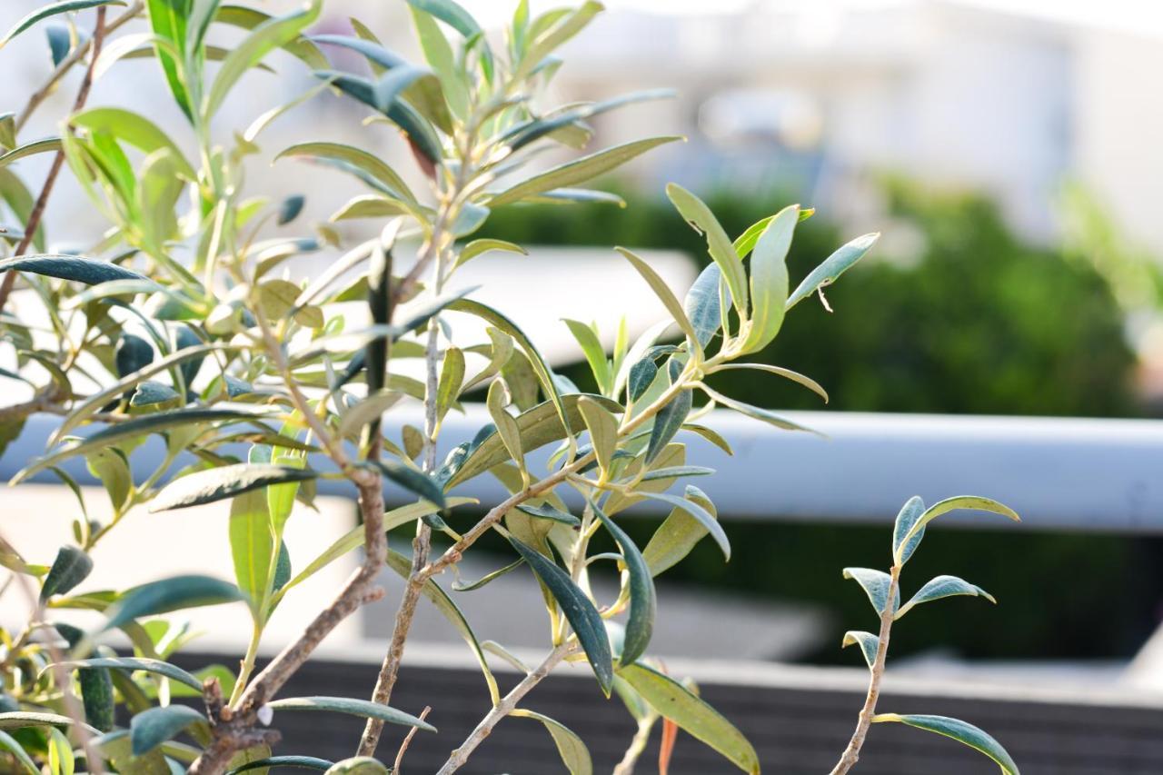 הוילה Paradeísion Casa Terrazzo מראה חיצוני תמונה
